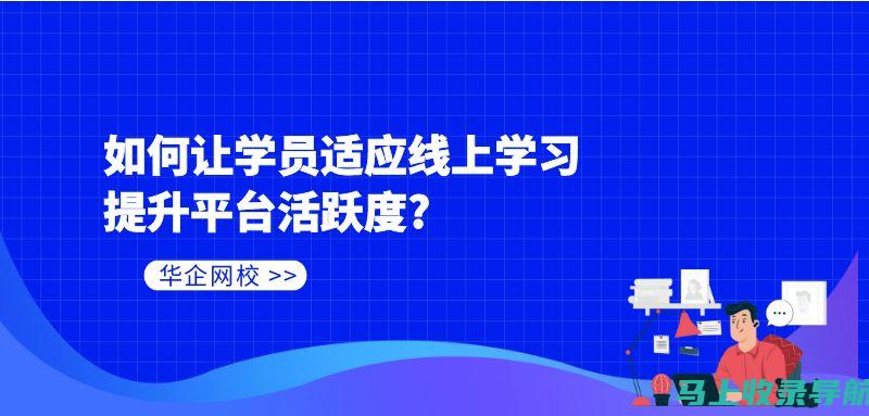 提升在线可见度：SEO网站推广技巧实战指南